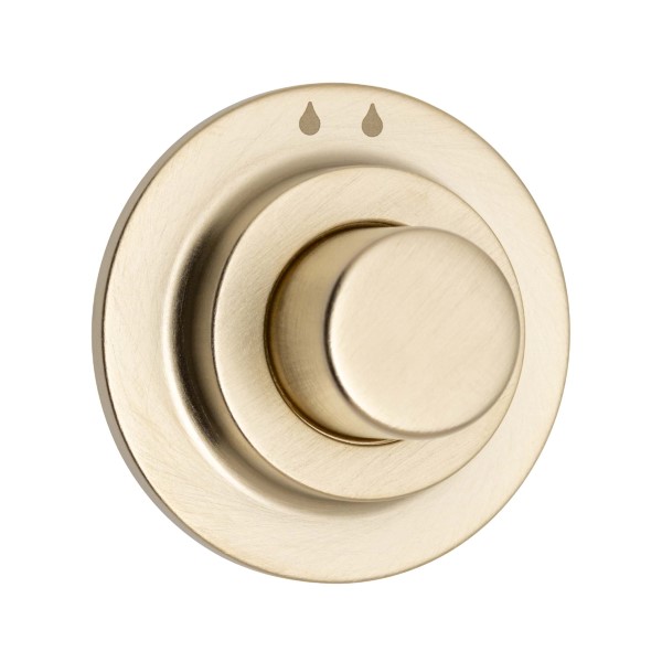 brushed-brass aquadomo