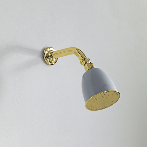 Rockwell 100mm shower rose with option of painted finish on 145mm angled arm with swivel