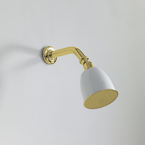 Rockwell 100mm shower rose with option of painted finish on 145mm angled arm with swivel