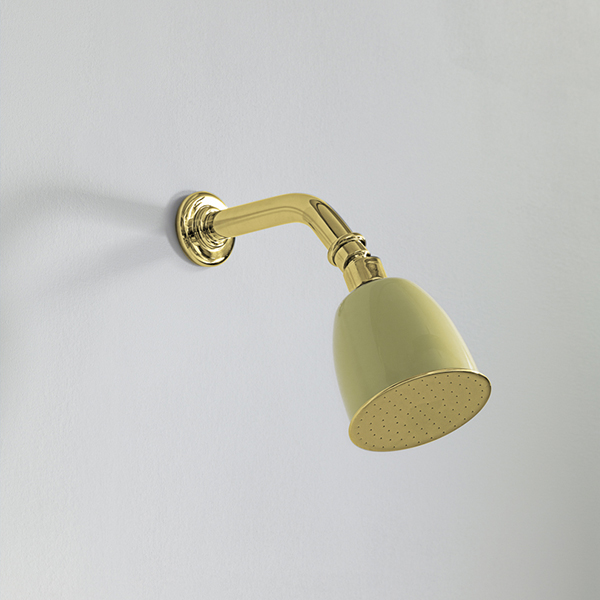 Rockwell 100mm shower rose with option of painted finish on 145mm angled arm with swivel