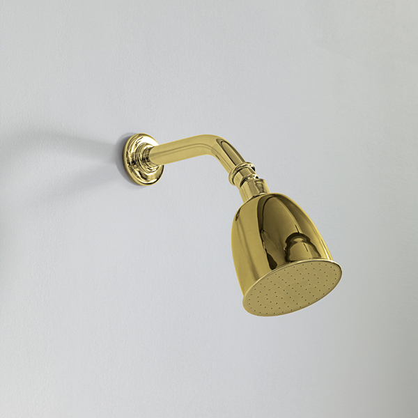 Rockwell 100mm shower rose with option of painted finish on 145mm angled arm with swivel