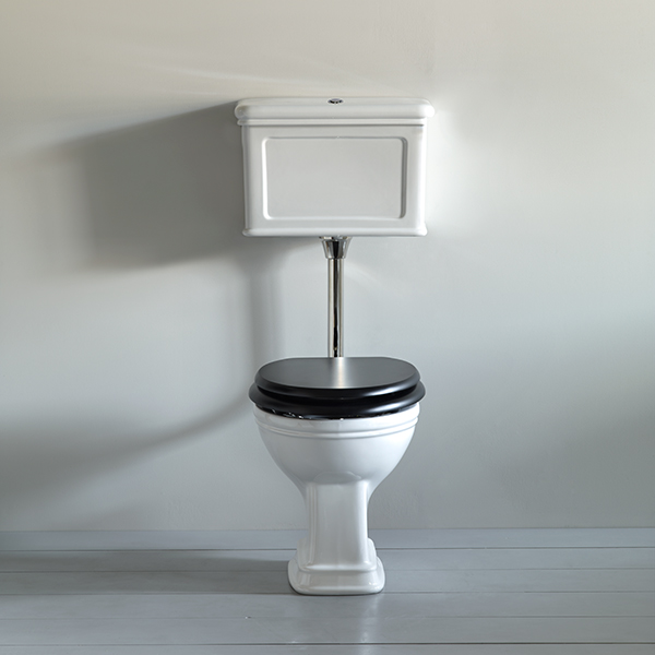 Lonsdale low-level toilet with dual-flush button and flush pipe