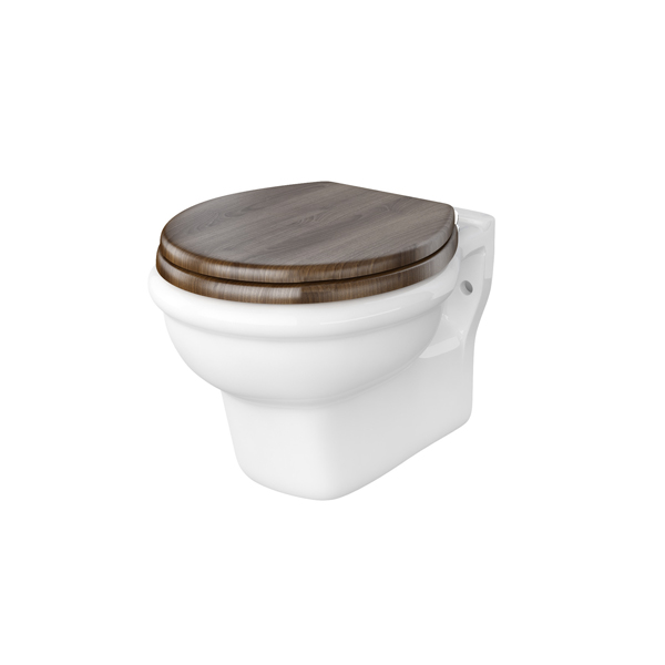 Paris wall hung toilet 380w x 530d x 400h